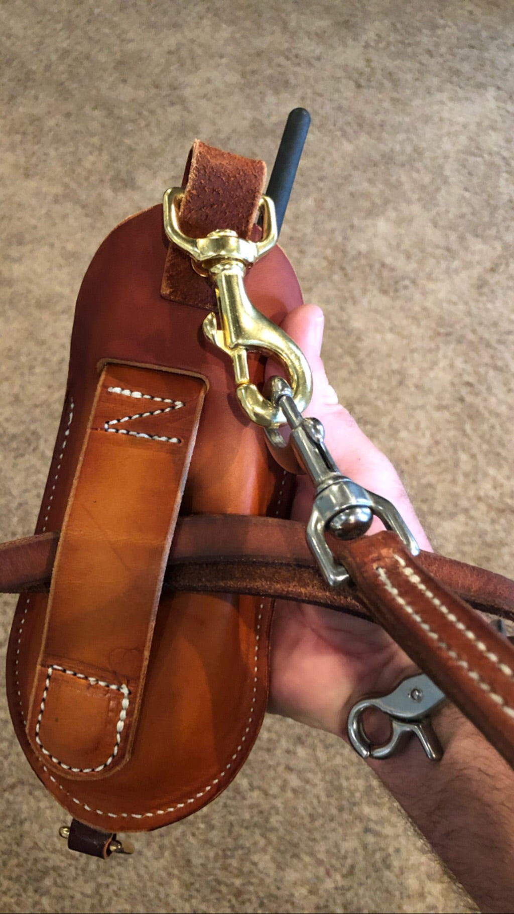 Leather case and leather leash combo