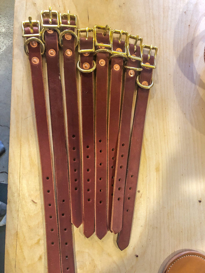 Puppy Collar used during a German Shorthaired Pointer training session. Ideal for professional bird dog training and upland hunting dogs retrieving game. Perfect gear for puppy training courses demonstration.