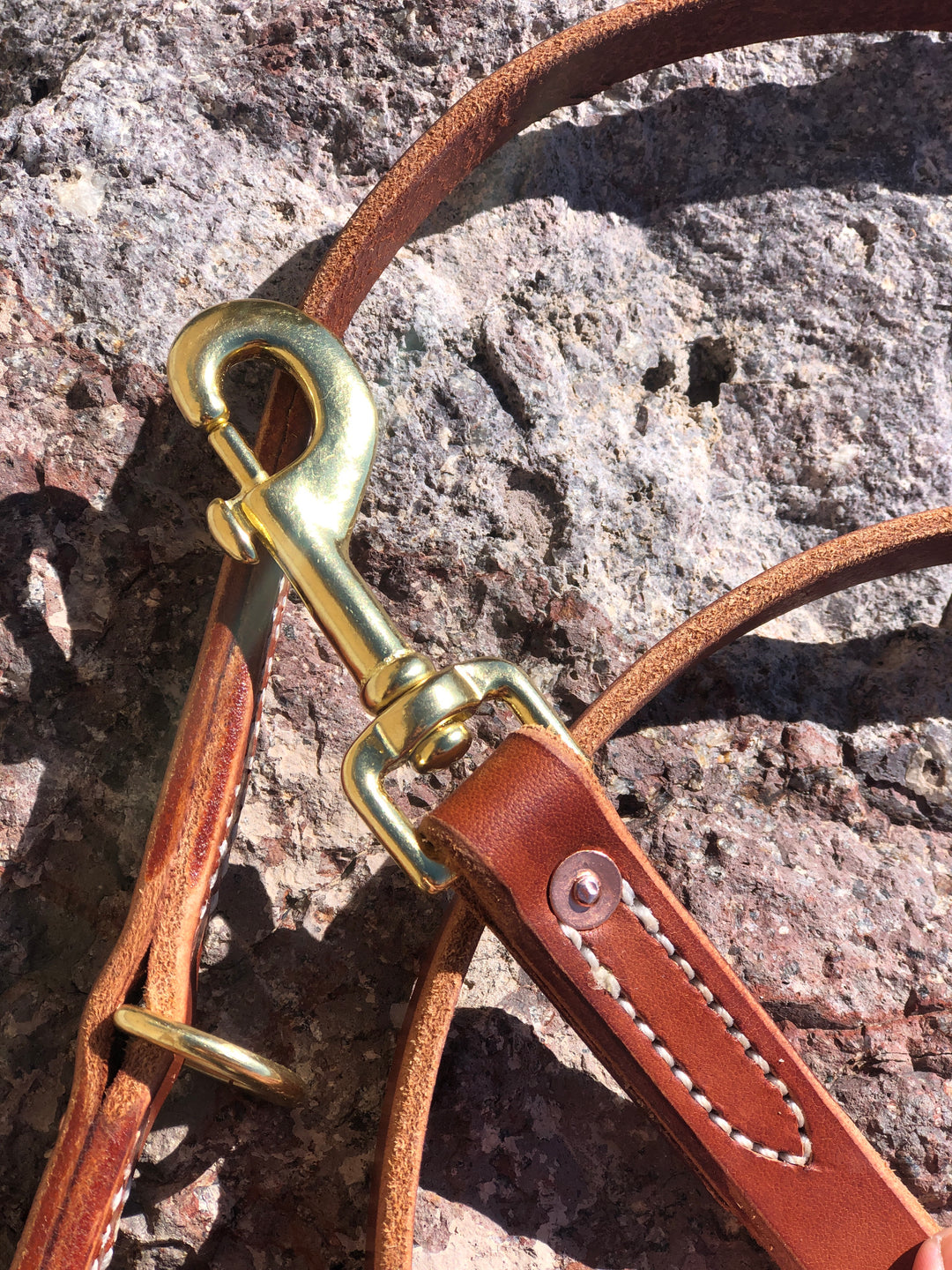 Jaeger Lead used during a German Shorthaired Pointer training session. Ideal for professional bird dog training and upland hunting dogs retrieving game. Perfect gear for puppy training courses demonstration.