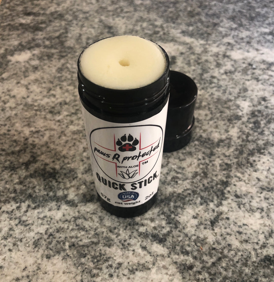 Paws R Protected Quick Stick used during a German Shorthaired Pointer training session. Ideal for professional bird dog training and upland hunting dogs retrieving game. Perfect gear for puppy training courses demonstration.